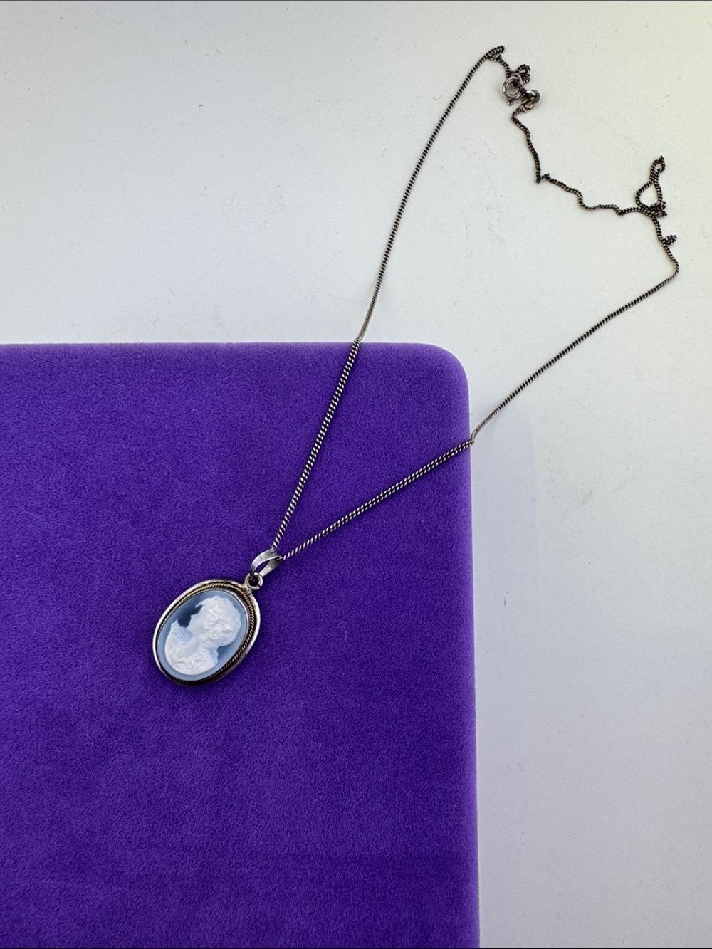 💛 Classic Sterling Silver Blue Cameo Pendant Necklace | 14k Gold Rope Detailing